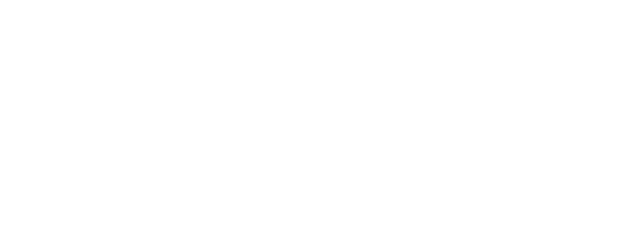 Wanner Engineering, Inc.